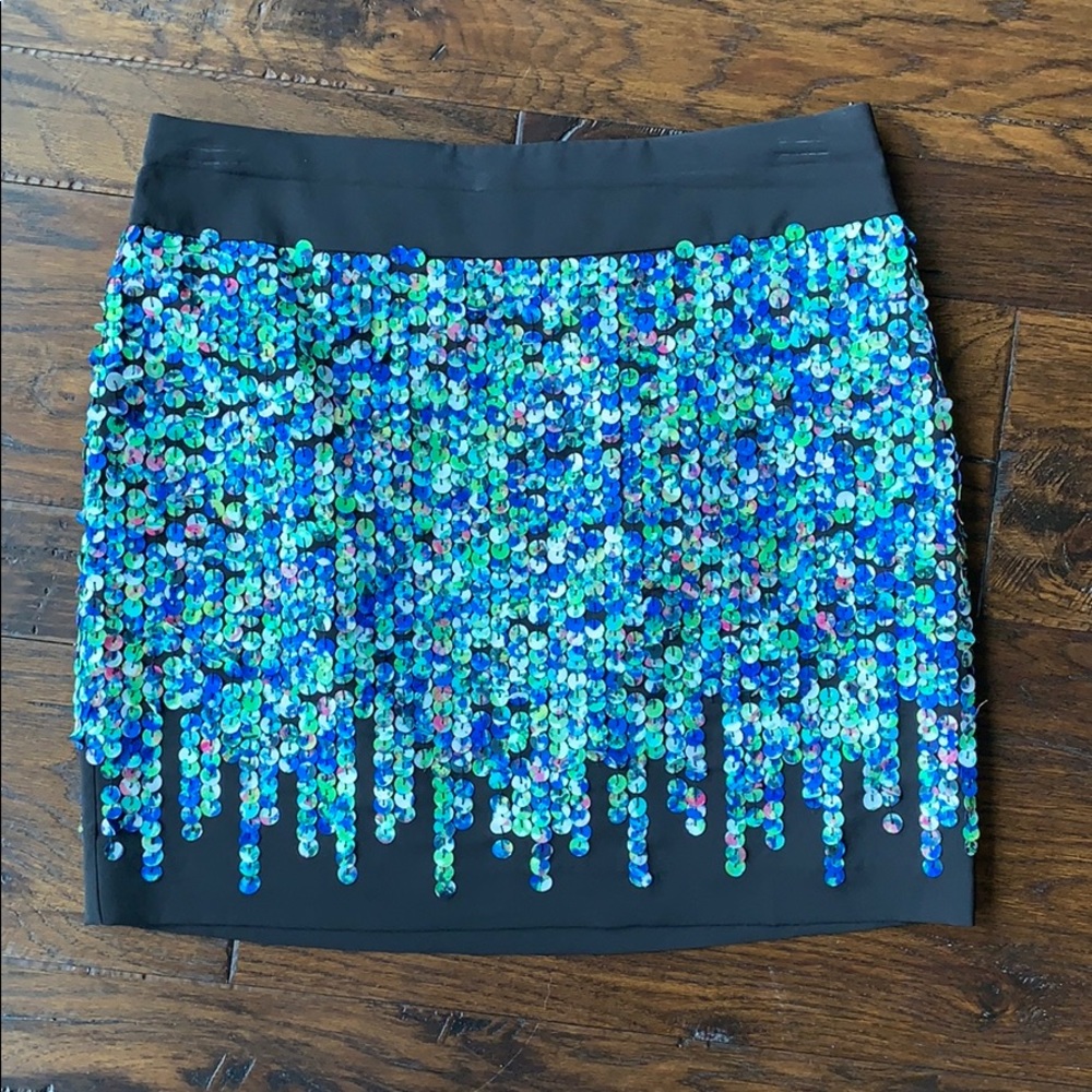 Ann Taylor skirt